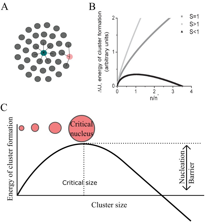 Figure 1—figure supplement 4.