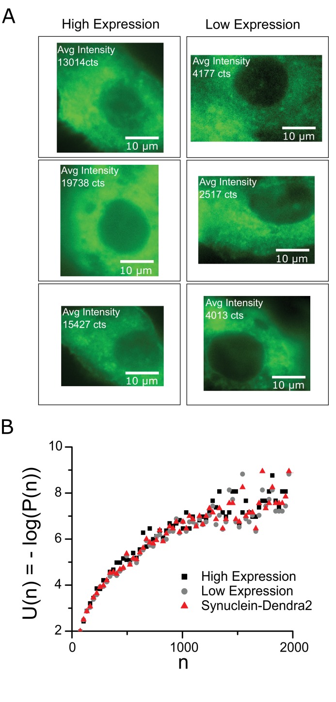 Figure 1—figure supplement 2.