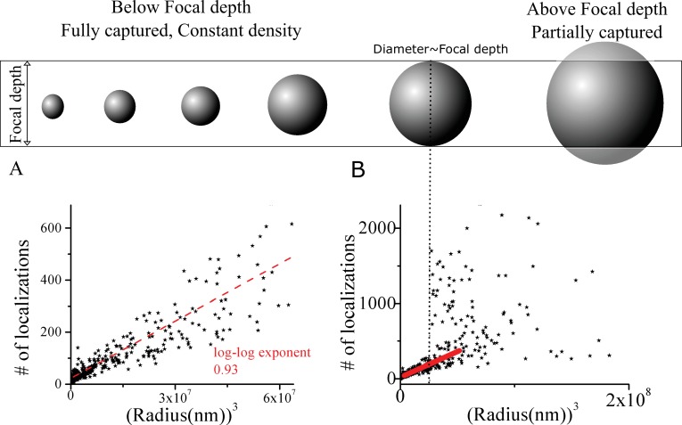 Figure 1—figure supplement 3.