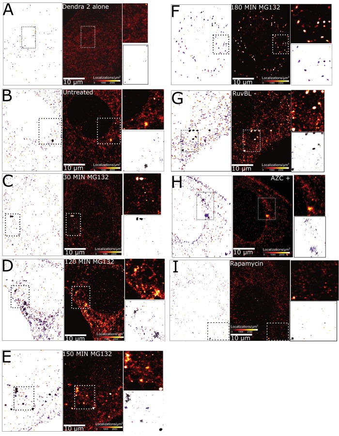 Figure 1—figure supplement 1.