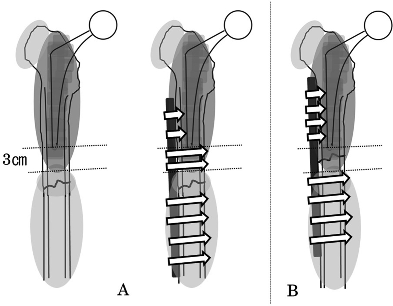 Fig. 8