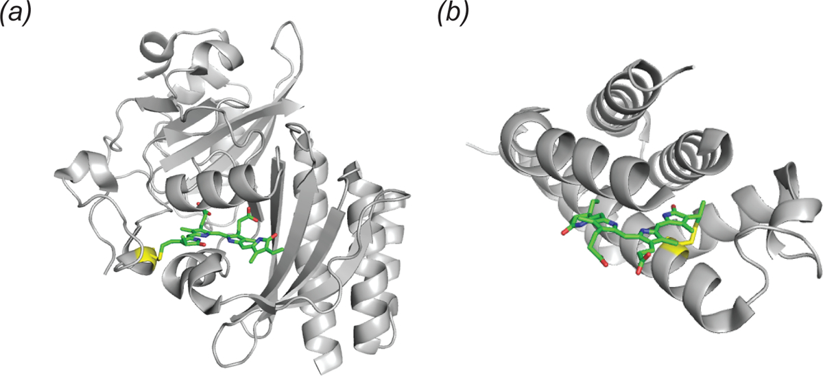 Fig. 3.