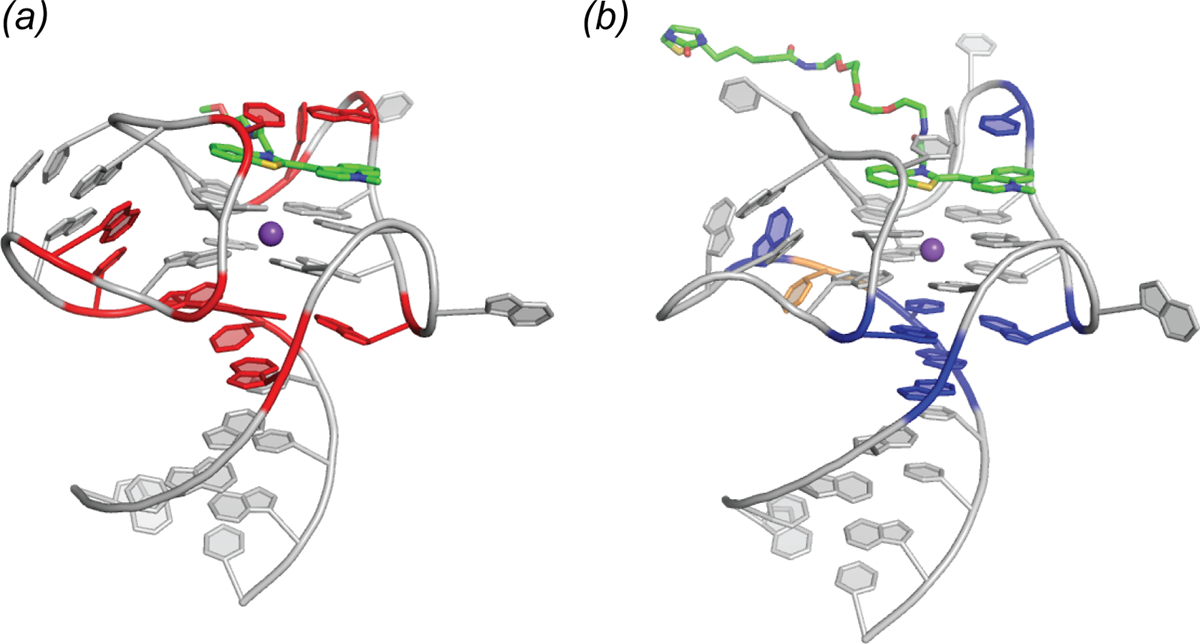 Fig. 10.