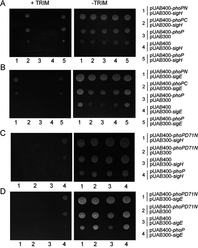 FIG 5