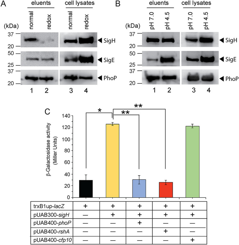 FIG 6