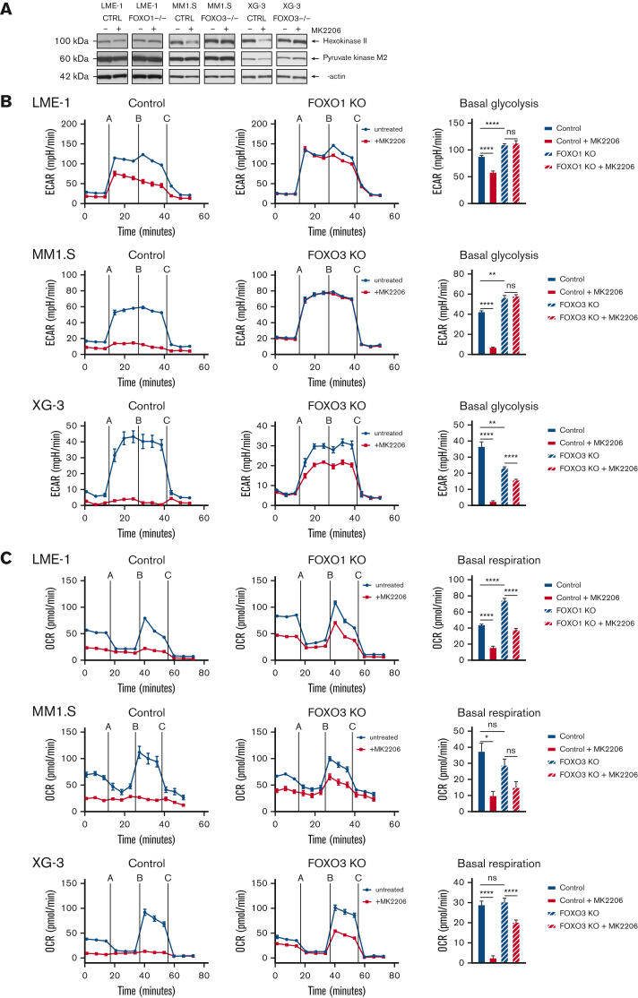 Figure 4.