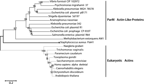 FIGURE 7.