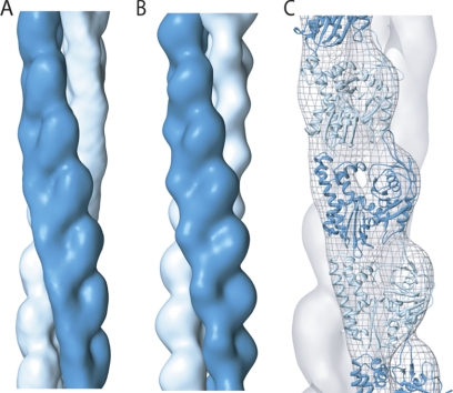 FIGURE 2.