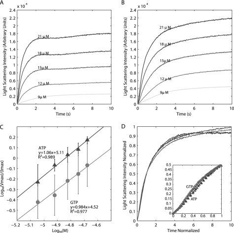 FIGURE 4.