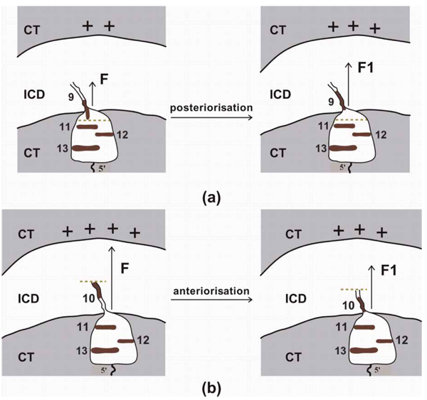 Figure 1S