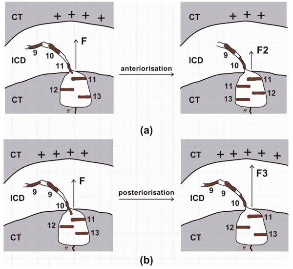 Figure 2S