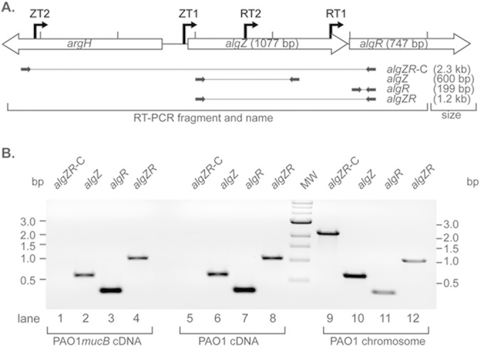 FIG 3