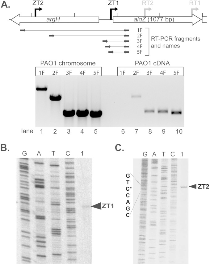 FIG 2