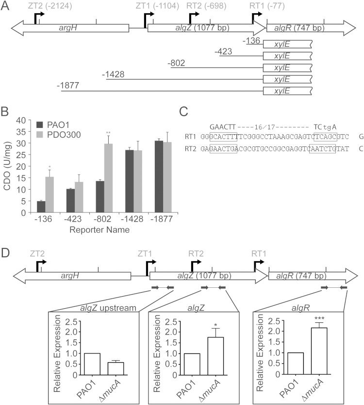 FIG 6