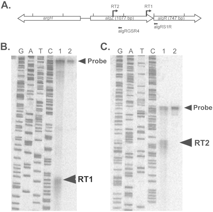 FIG 1