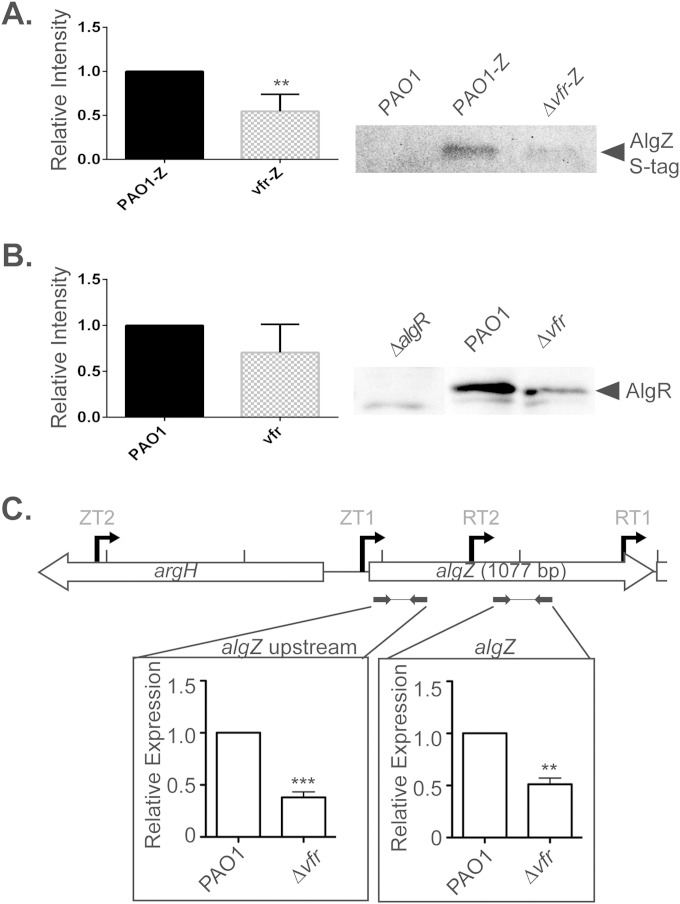 FIG 8