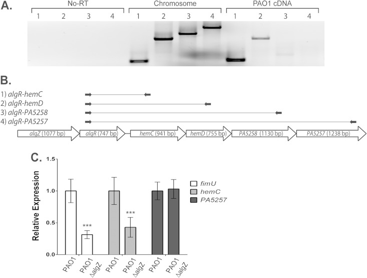 FIG 4