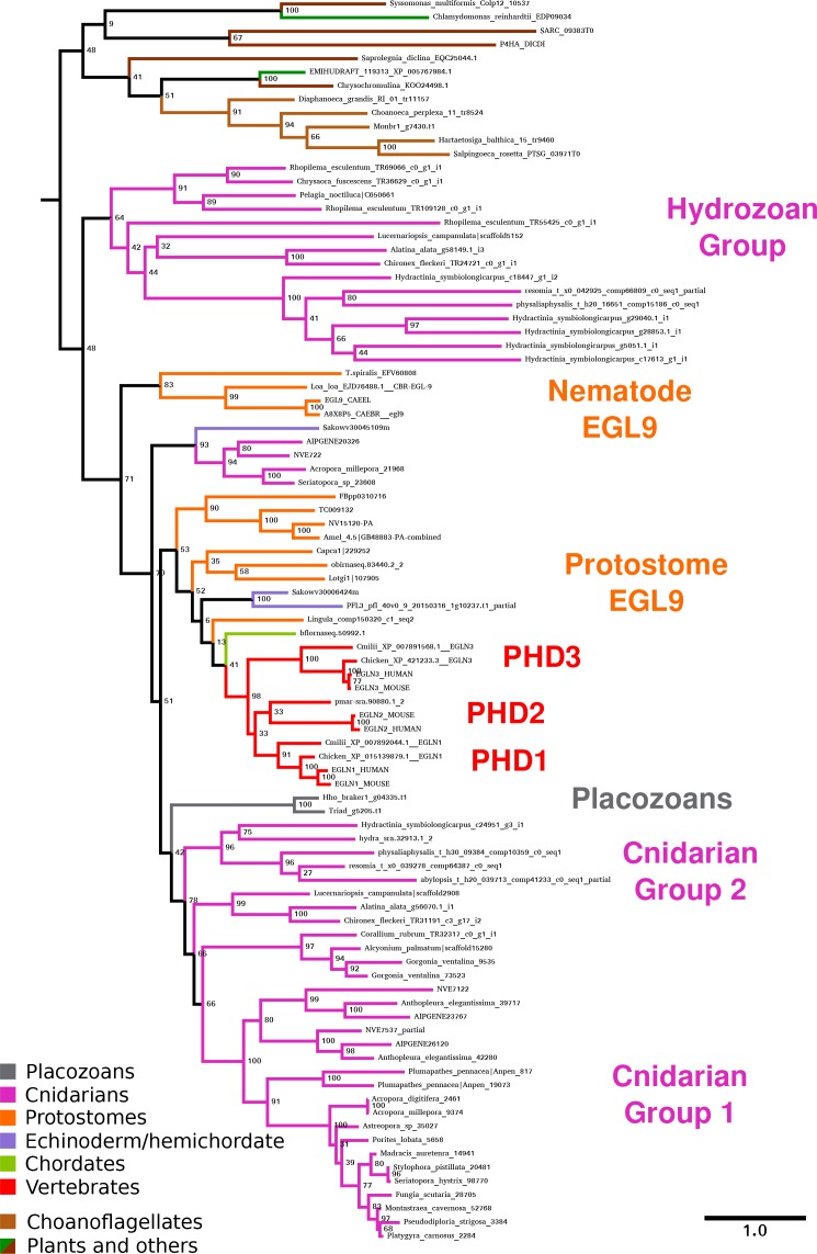 Figure 2—figure supplement 2.