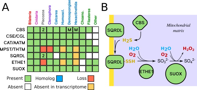 Figure 1—figure supplement 1.