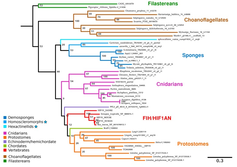 Figure 2—figure supplement 3.