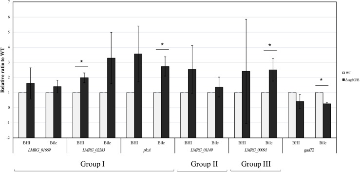 FIGURE 3