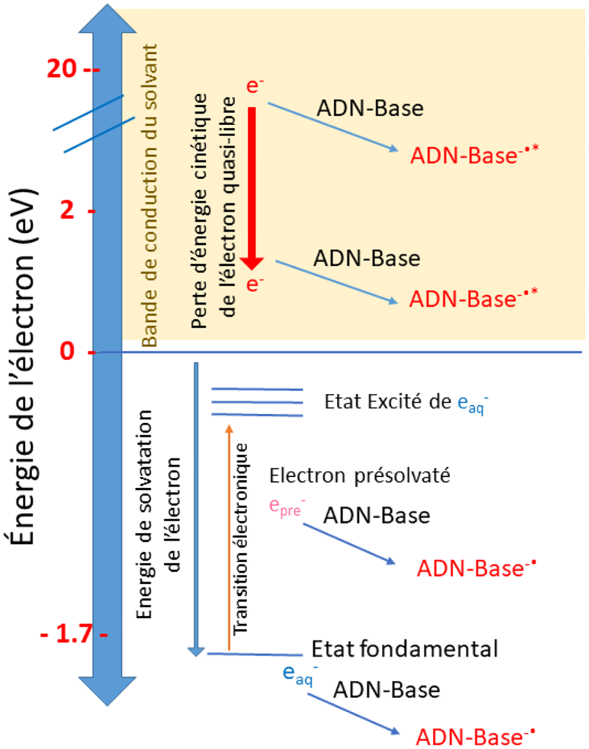 Figure 1 -