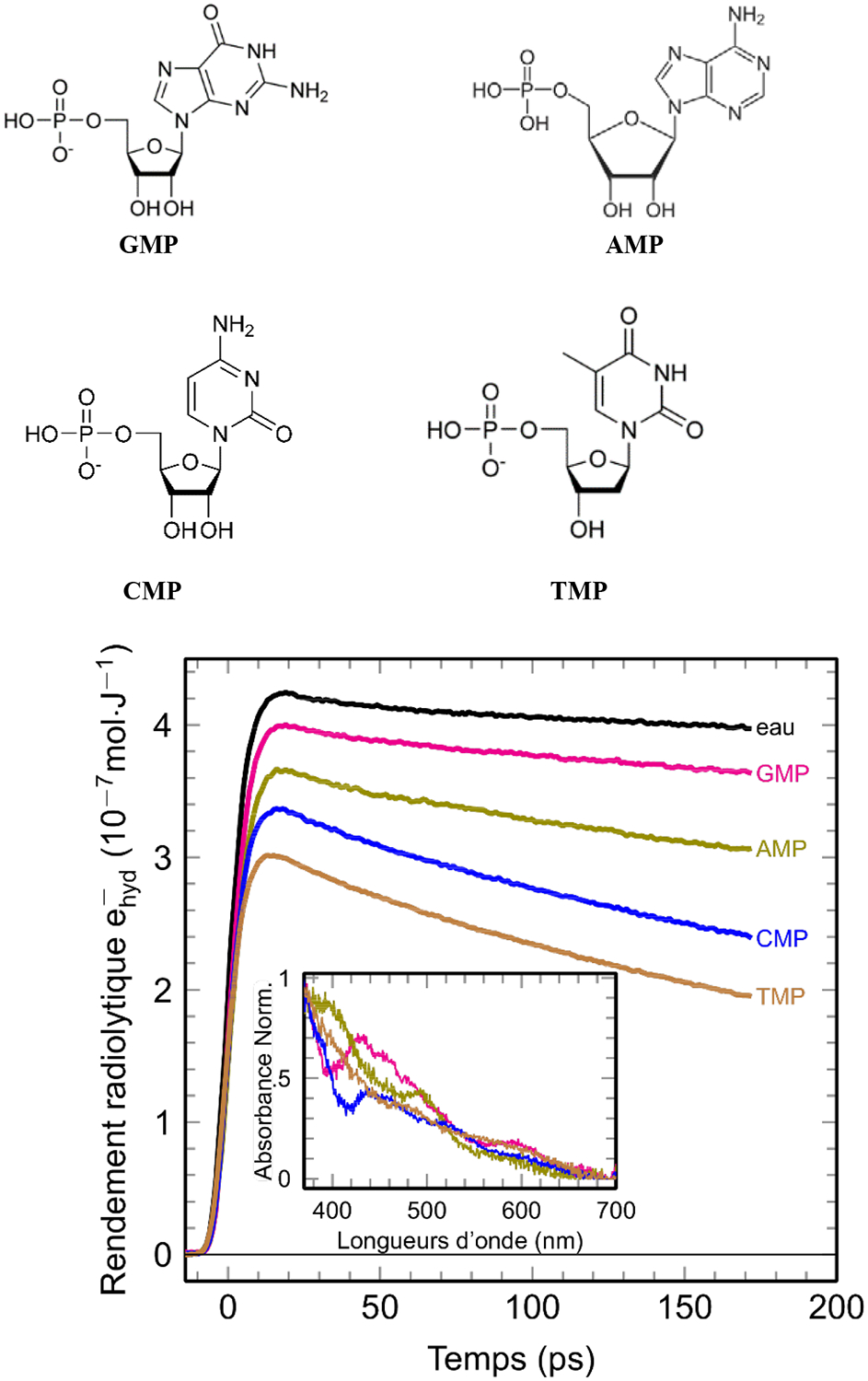 Figure 2 –