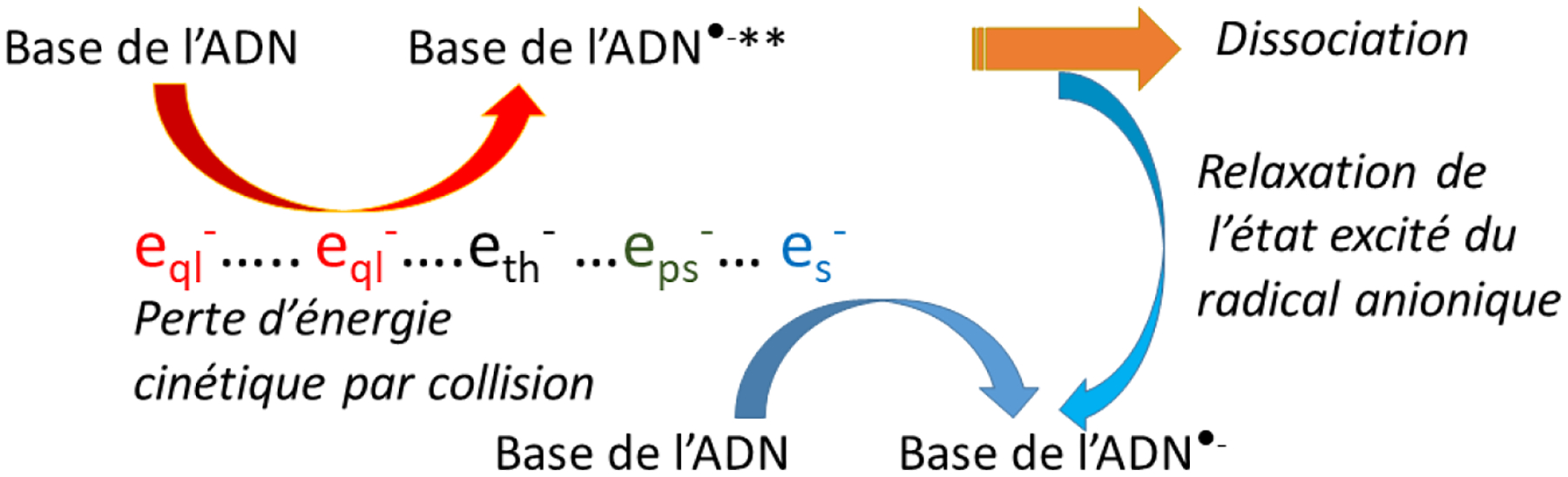 Figure 3 -