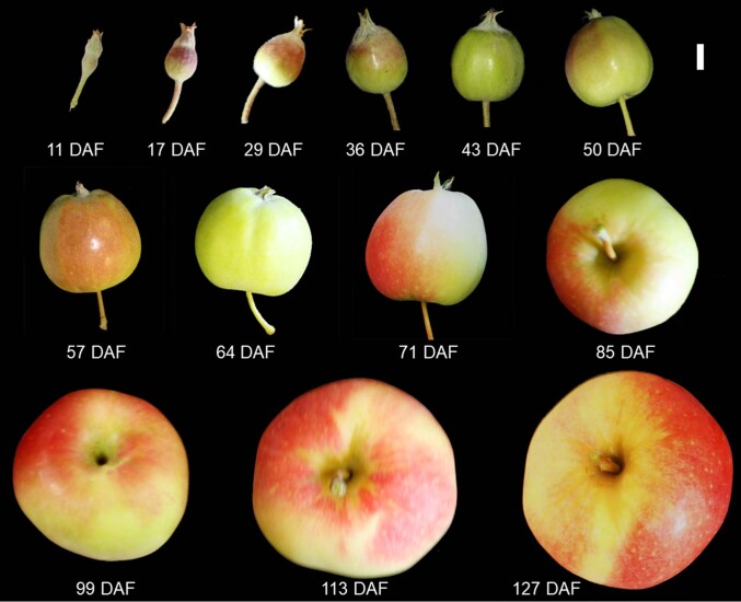 Extended Data Fig. 9