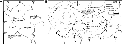 Fig. 1.