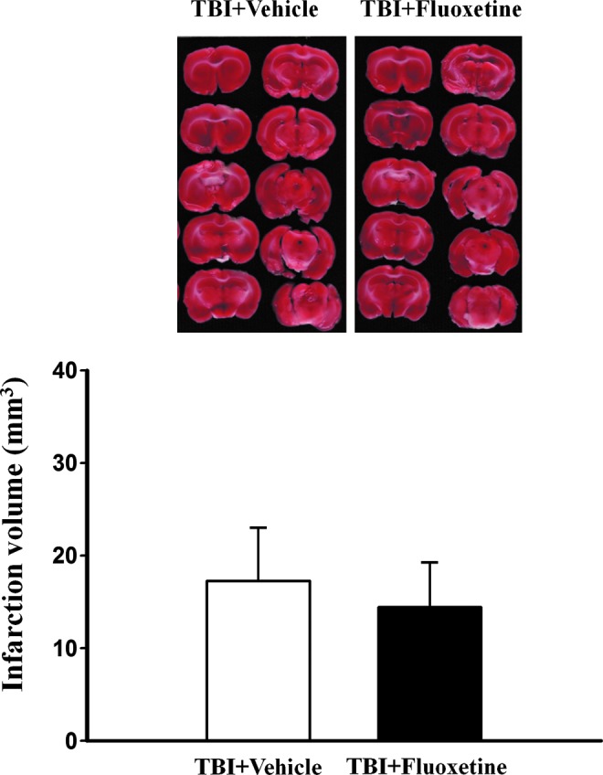 FIG. 8.