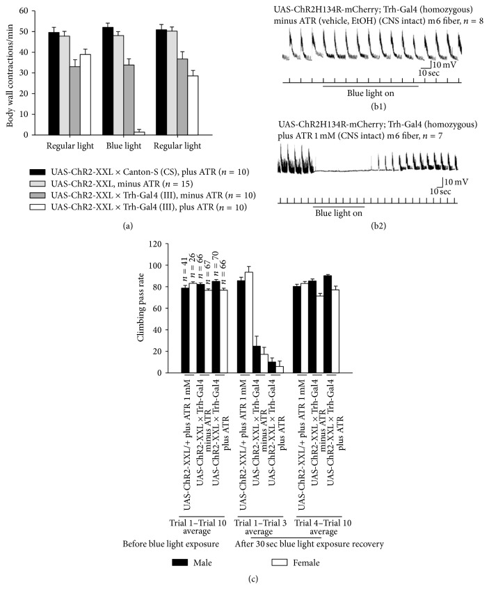 Figure 16