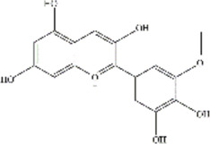 graphic file with name fphar-12-773660-fx2.jpg