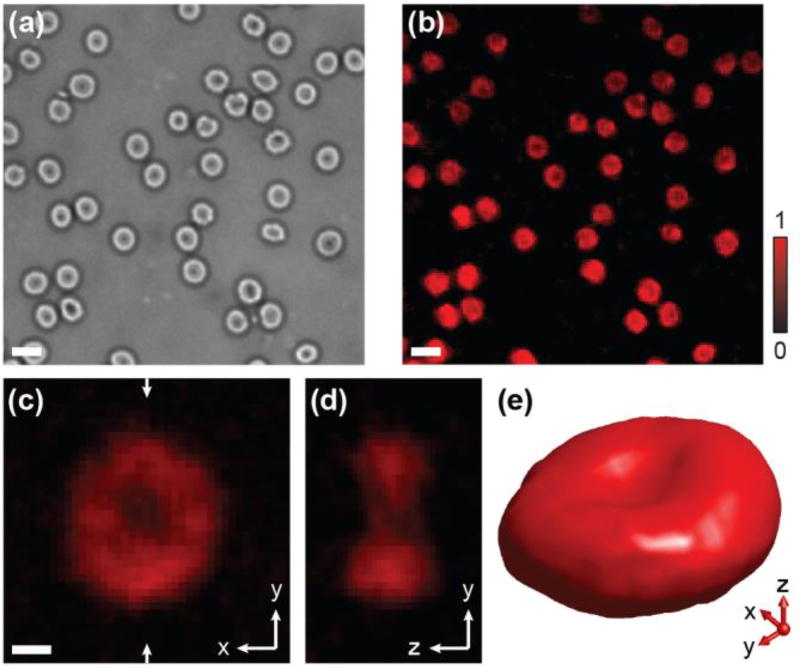 Fig. 2