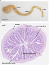 Fig. 3