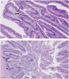 Fig. 7