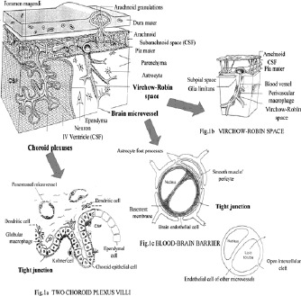 Figures 1a-c.