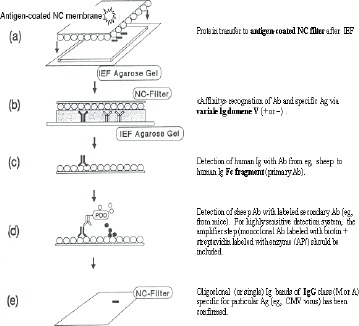 Figure 3b.