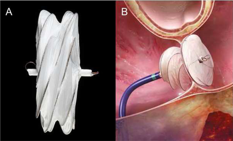 Figure 3: