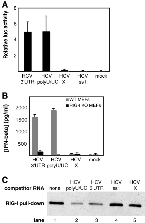 FIG. 2.