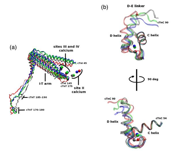 Fig. 8