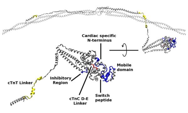 Fig. 9