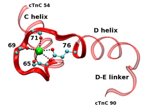 Fig. 11