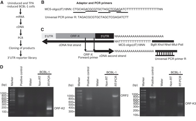 FIG 1