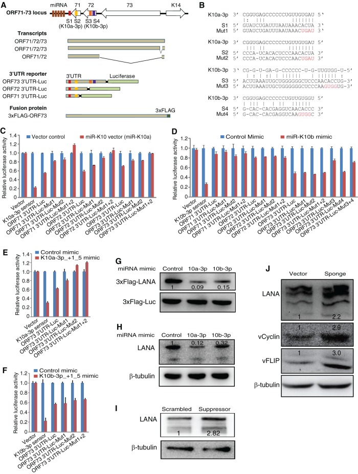 FIG 6