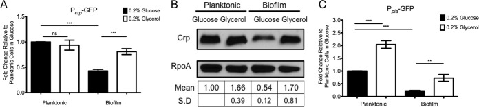 FIG 6