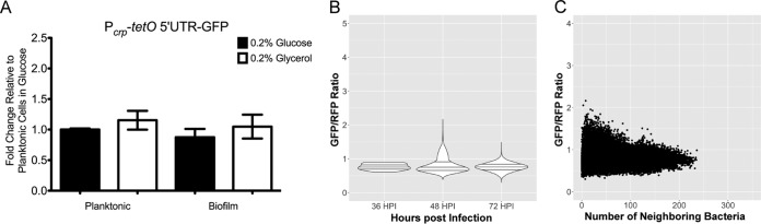 FIG 7