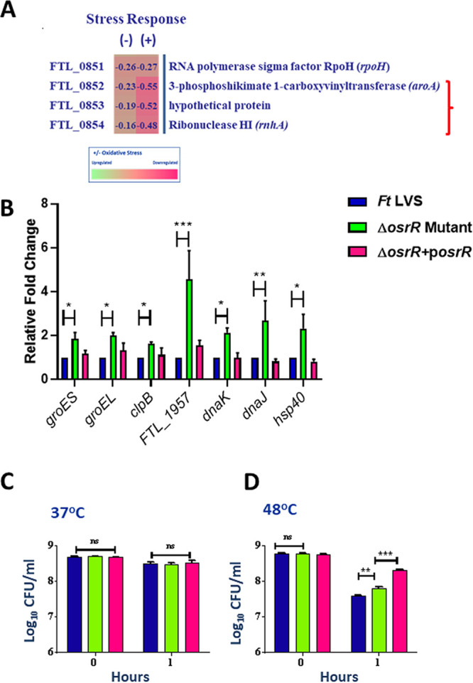 FIG 6