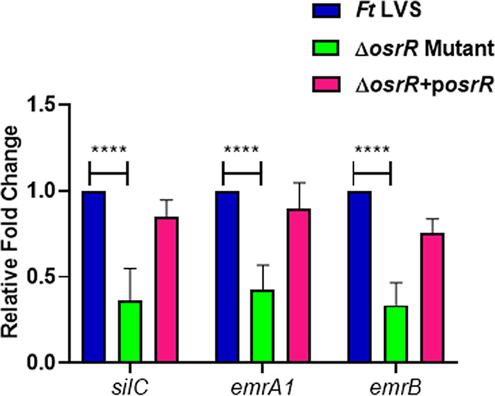 FIG 3