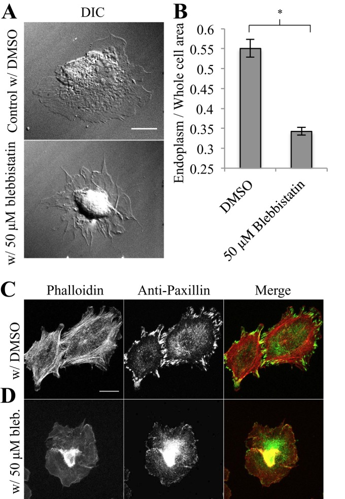 FIGURE 6: